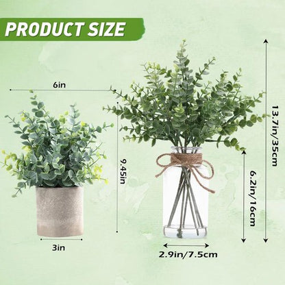 Coforset Eucalyptus Stems in Glass Vase - Realistic Faux Water | 14" Sage Green Decor for Home & Office