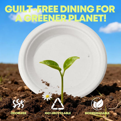 W&Y 100 Pack Heavy-Duty 6-Inch Disposable Paper Plates - Compostable, Microwave-Safe & Leak-Proof