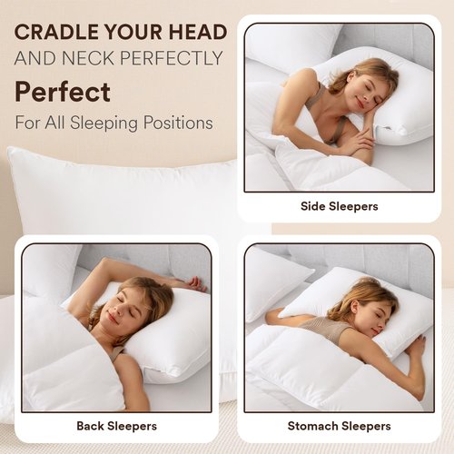 ABOUTABED Goose Feather Down Pillows Queen Size Set of 2, Luxury Soft Feather Pillows for Sleeping, Smooth Down-Proof Fabric, Hotel Collection Bed Pillows Surround Fill Polyester (White, 20"x30")