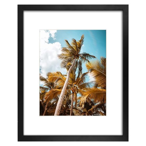 Frametory, 16x20 Black Picture Frame - Display Pictures 11x14 Photo with Mat - High Definition Real Glass- Wide Molding (16x20, Black)