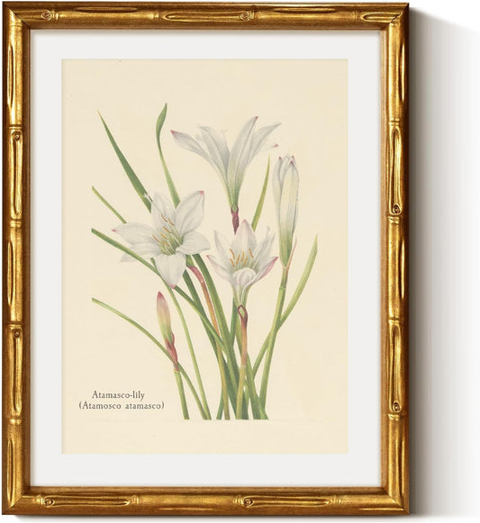 VIYYIEA Gold Framed Bamboo Wall Art - Retro Atamasco Lily Botanical Prints | Vintage Floral Decor 14L x 11W