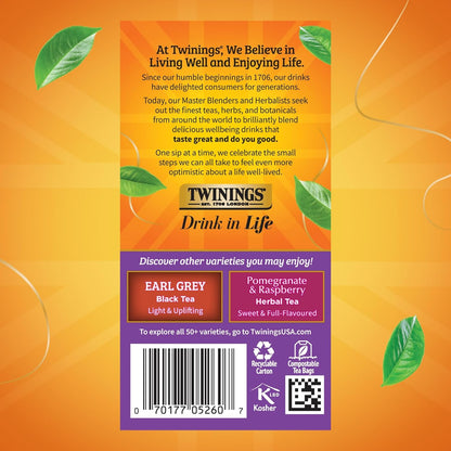 Twinings of London Blackcurrant Breeze Black Tea - Strong, Sweet & Tangy Flavor | 20 Tea Bags