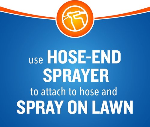 Cutter Backyard Bug Control Spray Concentrate - Kills Mosquitoes, Fleas & Ants | 32 fl Ounce (2 Pack)