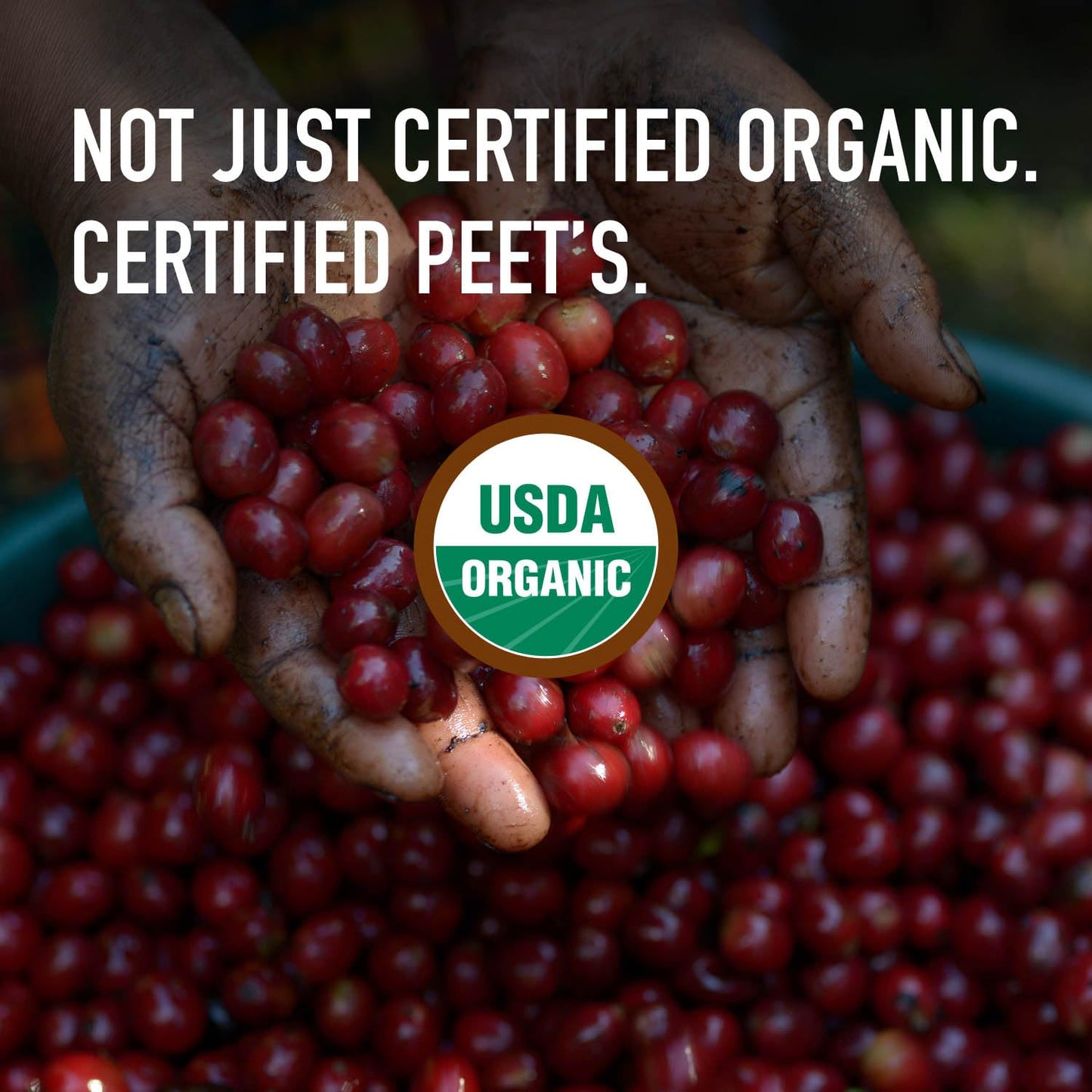 Peet's Coffee - USDA Organic Dark Roast Ground Coffee | 100% Arabica - French Roast 18 Ounce Bag
