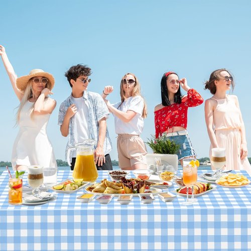 Light Blue Gingham Tablecloths by [Brand Name] - Disposable Rectangular Plastic Covers for Parties & Events | 54 x 108 Inch