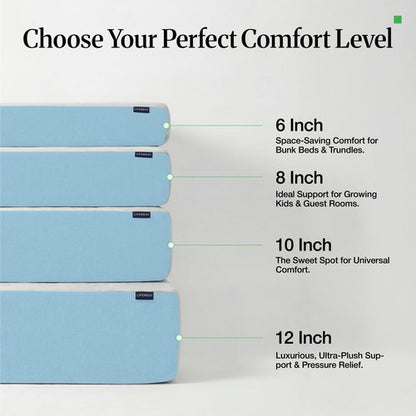 LIFEMENT Queen 10 Inch Cooling Gel Memory Foam Mattress in a Box | Medium Firmness, Fiberglass Free, CertiPUR-US & Oeko-TEX Certified Foam, 80''L x 60''W