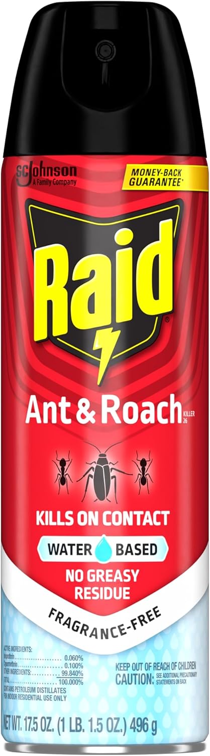 Raid Ant & Roach Aerosol Bug Spray - Water-Based Insecticide, Kills On Contact, 17.5 oz