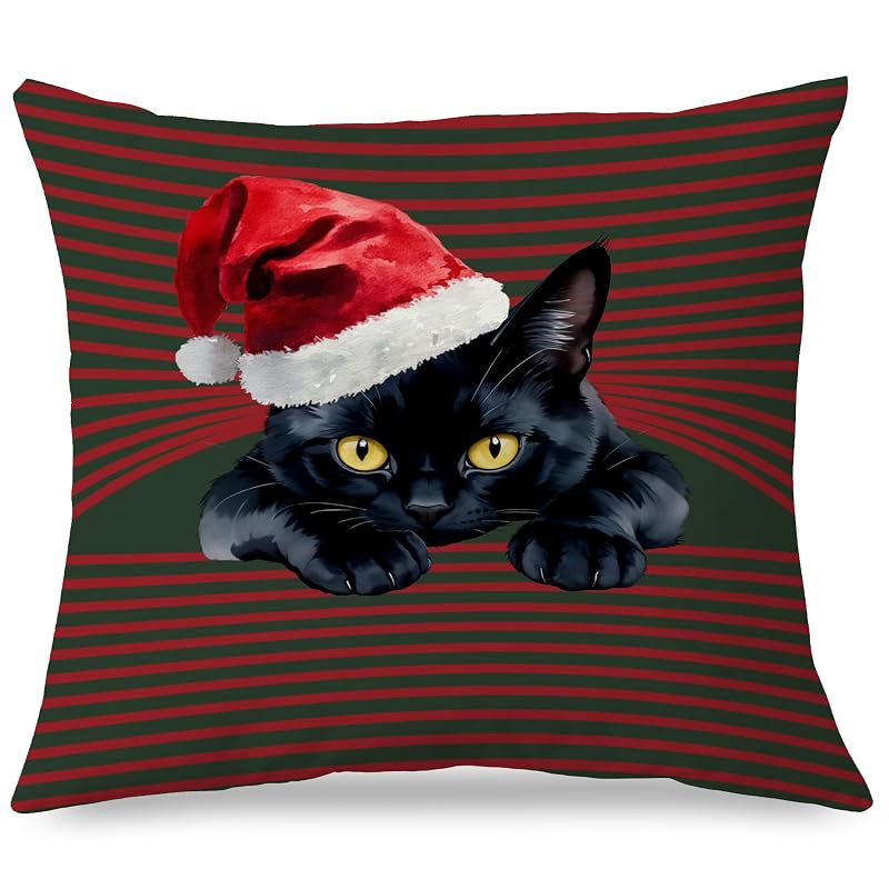Cat-Pillow Covers 18x18 - Christmas Red Green Decor, Exqcom Variation Cat-pillow Covers-c