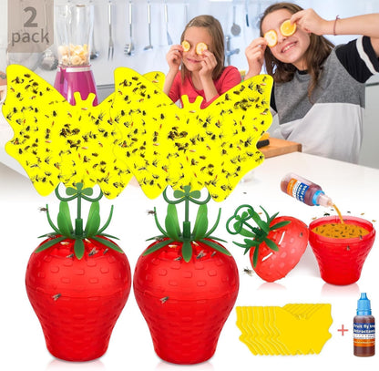 Skiennix Fruit Fly Traps - Safe & Effective Gnat Killer for Home Plants | Durable Sticky Insect Trap