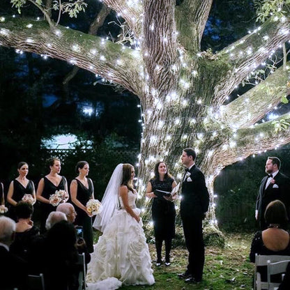 Vicloon Fairy Curtain Lights - 300 LED Waterproof String Lights | 9.8x9.8 Ft with Remote Control