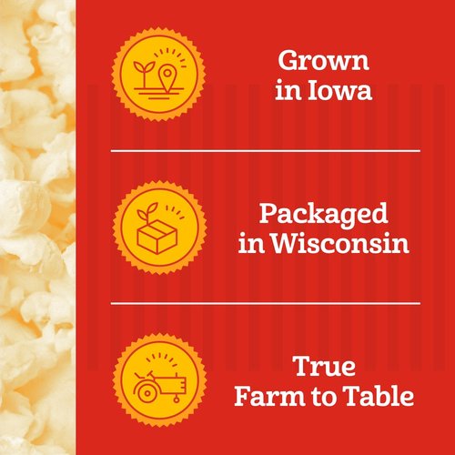 Franklin’s Gourmet Popcorn | All-In-One Popcorn Packs for Machines - 8oz Pack of 10 - Buttery Salt & Oil