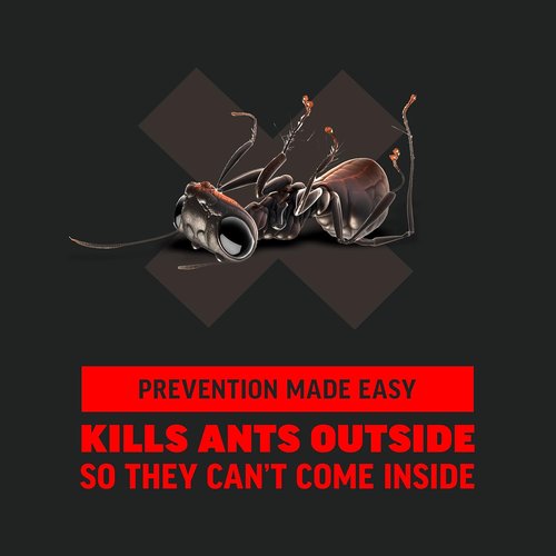 Amdro Ant Killer - Effective Outdoor Perimeter Solution | 12oz Size for Maximum Coverage