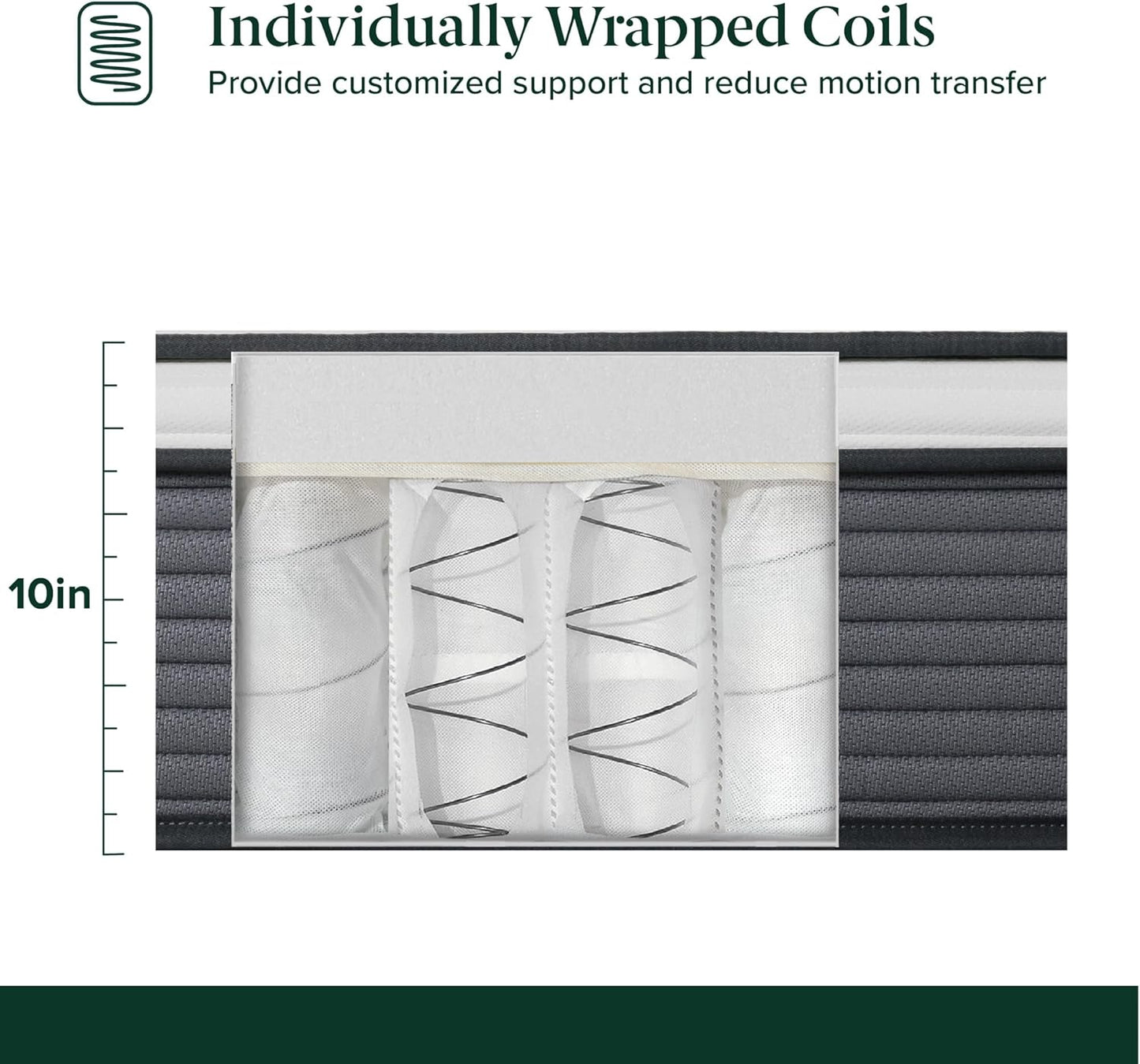ZINUS 10 Inch True Support Hybrid Mattress - Queen Size, Medium Feel, Fiberglass Free, Motion Isolation, Safe Foams