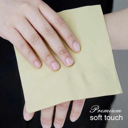 JINVOGREEN 500 Count Bamboo Cocktail Napkins Disposable 2-Ply 5.3 x 5.3 Inch Folded, Eco friendly Compostable Beverage Paper Napkins Bulk for Bars, Lunch, Parties, Restaurant and Everyday Use