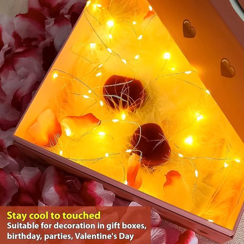 HXWEIYE Fairy Lights - 6 Pack Battery Operated 20 LED Mini Firefly String Lights | 7ft Warm White for Indoor & Outdoor Decor