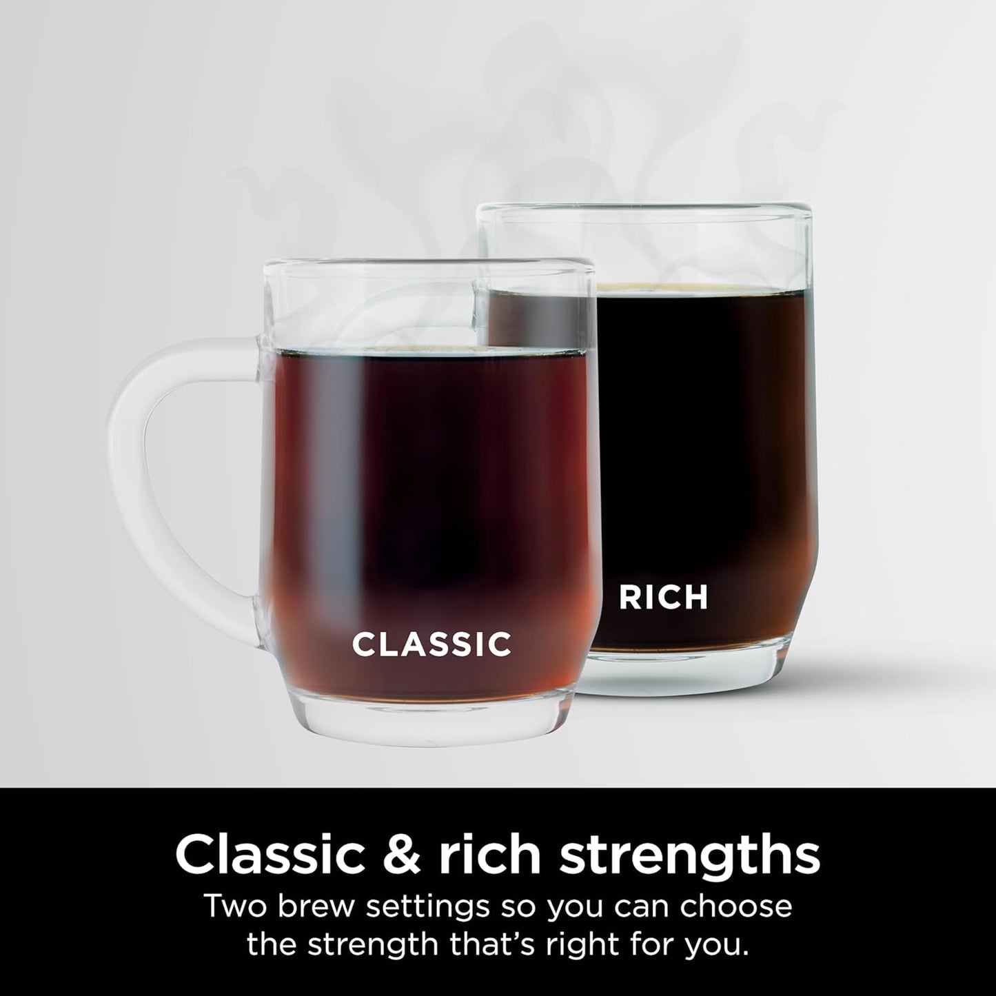 Ninja 12-Cup Programmable Coffee Brewer - 2 Brew Styles, Adjustable Warm Plate, 60oz Reservoir - Black/Stainless Steel
