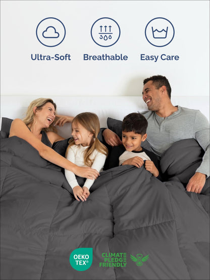 Queen Comforter Set - 3 Piece Bed Set for All Seasons - 1 Soft Quilted Comforter with Corner Tabs & 2 Pillow Shams - Comfy & Breathable - Premium Down Duvet Insert - Oeko-TEX - Queen Size, Dark Grey