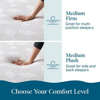 Lucid 12 Inch Memory Foam Mattress - Medium Plush Feel - Infused with Refreshing Bamboo Charcoal and Cooling Gel - Bed in a Box - Temperature Regulating - Pressure Relief - Breathable - Queen Size