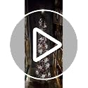 Pop Up Christmas Tinsel Tree with Remote Lights - Collapsible Silver 5FT