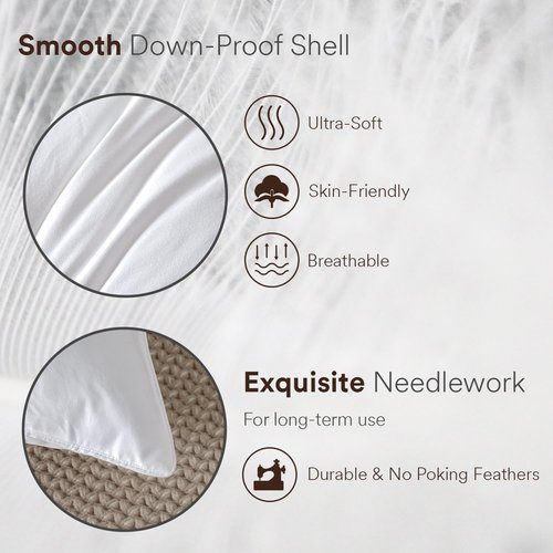 ABOUTABED Goose Feather Down Pillows Queen Size Set of 2, Luxury Soft Feather Pillows for Sleeping, Smooth Down-Proof Fabric, Hotel Collection Bed Pillows Surround Fill Polyester (White, 20"x30")