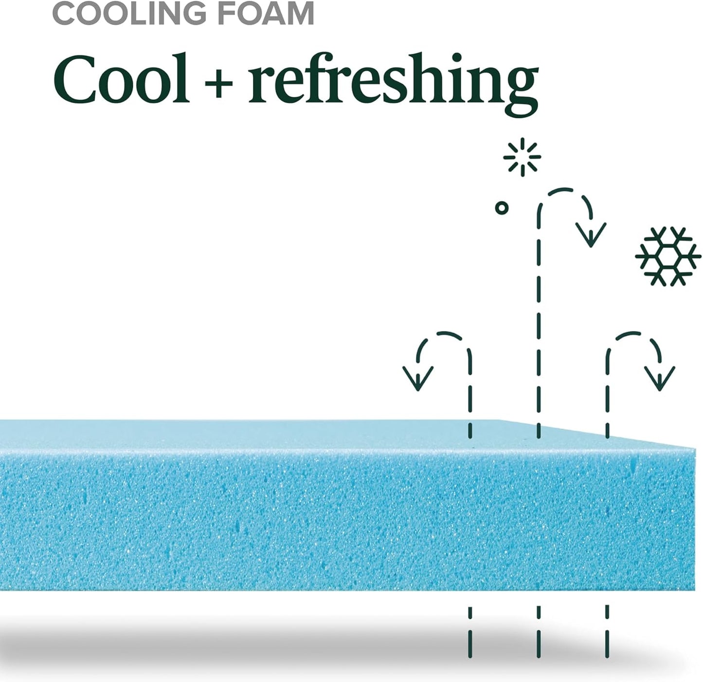 Zinus 8 Inch Green Tea Memory Foam Mattress - Twin Size, Medium Firmness, Cooling Gel, Fiberglass Free