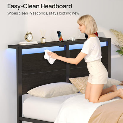 Rolanstar Queen Bed Frame - LED Headboard with Charging Station | Noise-Free, Black Oak Design