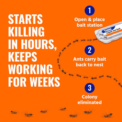 TERRO Ant Killer Bait Stations T300B - Liquid Bait for Effective Indoor Ant Control - 12 Count