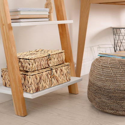 Regine Switzerland Set of 2 Handwoven Water Hyacinth Baskets - Decorative Storage Bins with Lids for Organizing