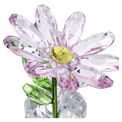 Swarovski Kris Bear A Daisy for You