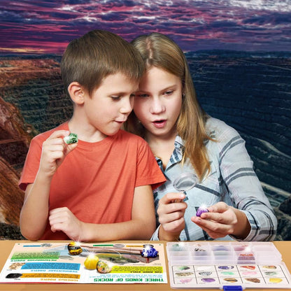 Rocks Collection - 15-Piece Geology Gem Kit for Kids | Educational Rock Set with Identification Sheet & Storage Case