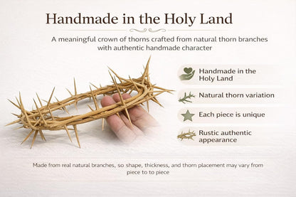 ZULUF Crown of Thorns Ornament - Authentic 7.5" Holy Land Gift Box from Bethlehem | Passion of Christ