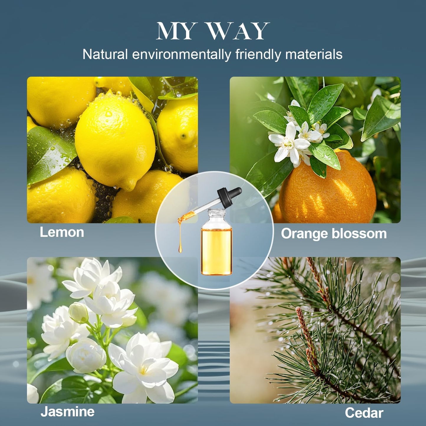 My Way | Reed Diffuser Set - Long-Lasting Floral Fragrance 6.1 fl oz with 6 Reed Sticks for Home Decor