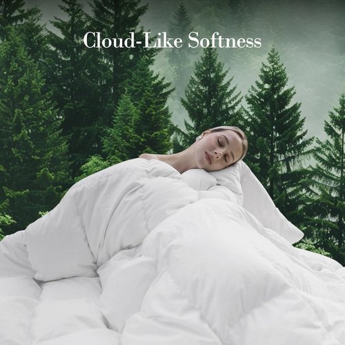 Down Fibers Comforter Queen Size,Luxurious All Seasons Hotel Collection Duvet Insert,54 Oz High Bulkiness Medium Warmth,Fluffy & Breathable for Bedroom, Guestroom, Hotel (White,90x90)