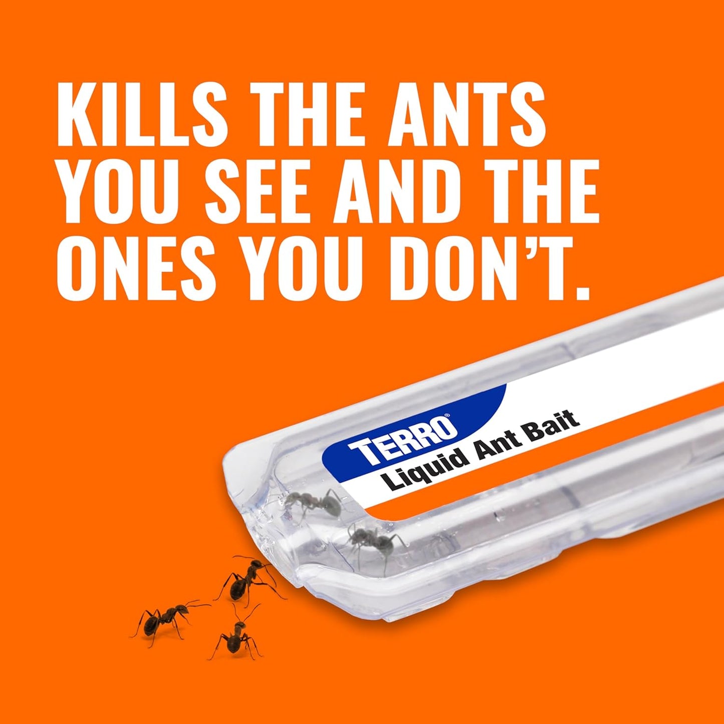TERRO Ant Killer Bait Stations T300B - Liquid Bait for Effective Indoor Ant Control - 12 Count