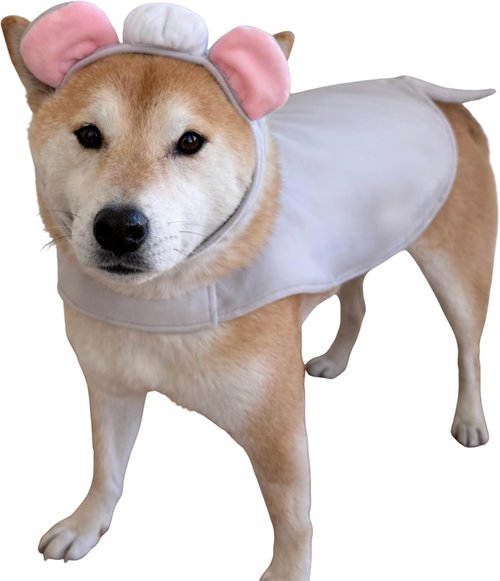 ComfyCamper Dog Rat Ears Chef Hat | Fun Cosplay Costume for Pets | XS to XXL Sizes Available