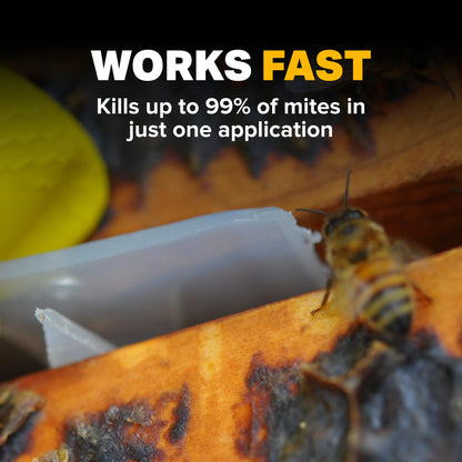 Mann Lake Apivar Strips, Mite Strips, Beetle Traps, Vacuumed Sealed, Beekeeping Essentials, Easy-to-Use, Safe & Effective, 12 Pack