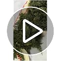Green Cedar Garland with Lights - 9FT Real Touch Faux Evergreen, 2 Pack