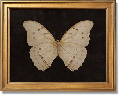 Gold Framed Vintage Butterfly Canvas Print - Elegant Dark Moody Wall Art for Living Room | 12x16 Inch