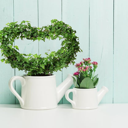 Skiennix Heart Shaped Trellis - Decorative Metal Plant Support for Indoor Climbing Plants | Rust-Proof, Black, 2 Pack