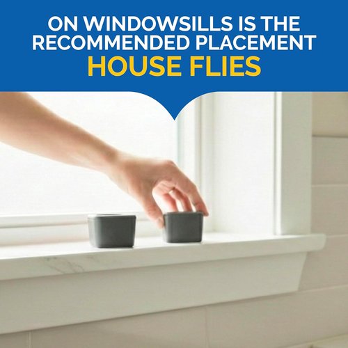 Hot Shot Flying Insect Trap - Discreet & Hassle-Free Solution for House & Fruit Flies | 6 Count