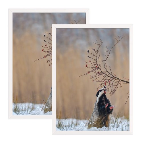 ARTWIND 20x28 Poster Frame 2 Pack, White Solid Wood Photo Picture Frame for Horizontal or Vertical Wall Mounting, Hanging Hardware Included