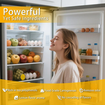 Skiennix Refrigerator Deodorizer - Natural Gel Eliminates Stubborn Odors | 4 Pcs Lemon Flavor