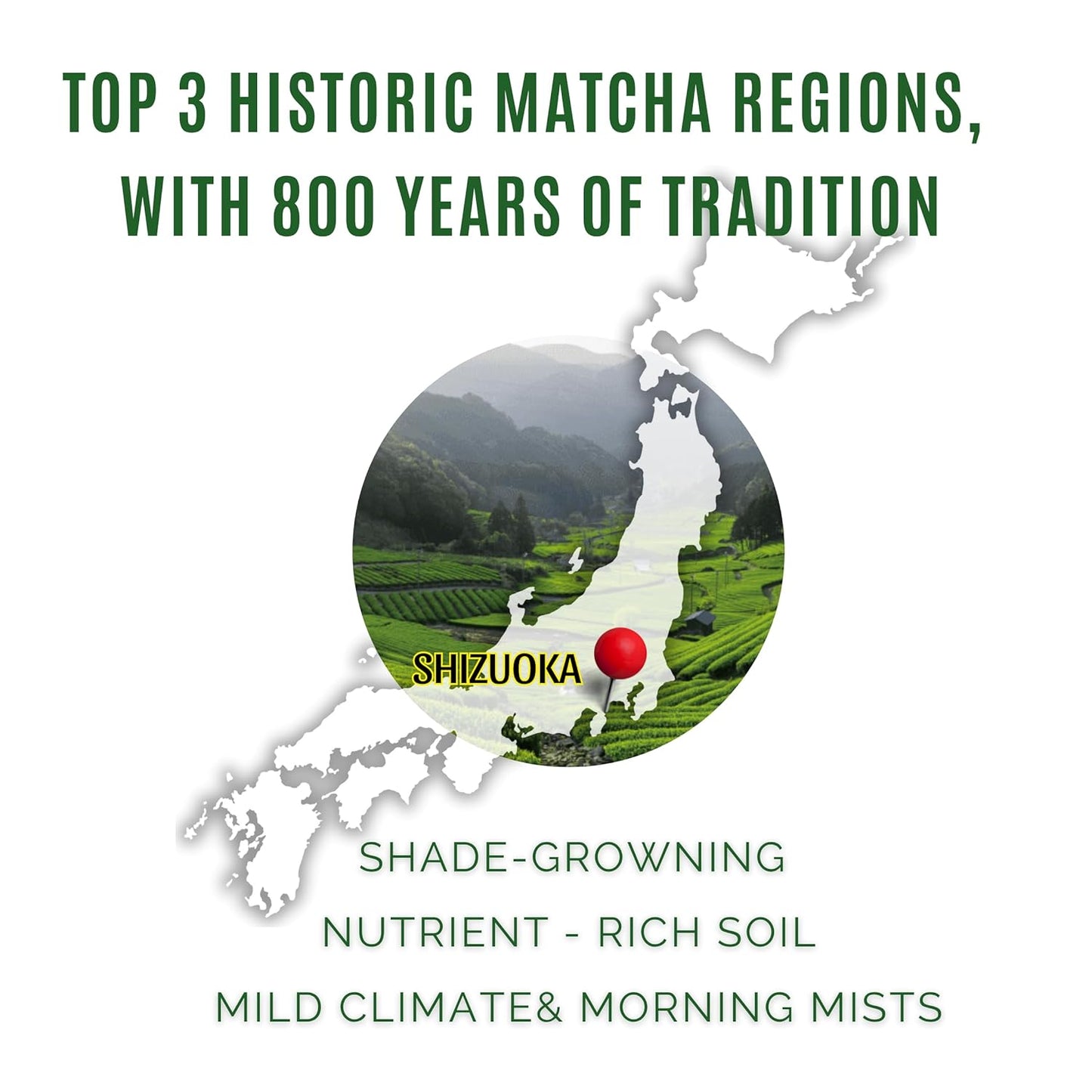 Satoen Ceremonial Grade Matcha Powder - Premium Japanese Green Tea from First Harvest (100g)