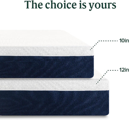 Zinus 12 Inch Queen Cooling Comfort Hybrid Mattress - Fiberglass Free, Medium Firm, Motion Isolation, Certified Safe Foams
