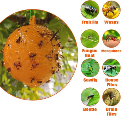 Skiennix Fly Sticky Trap Balls - 6 PCS Outdoor Fruit Fly & Gnat Catchers for House Plants | Effective Bug Control