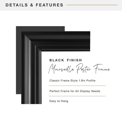 MCS, Black Marseille Poster Float Frame, 20x26 Inch, 20 x 26