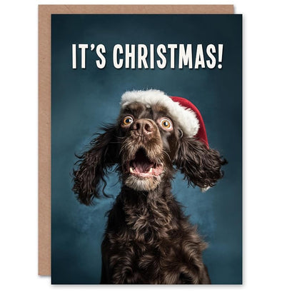 Cocker Spaniel Christmas Card in Santa Hat - Blank Inside Card
