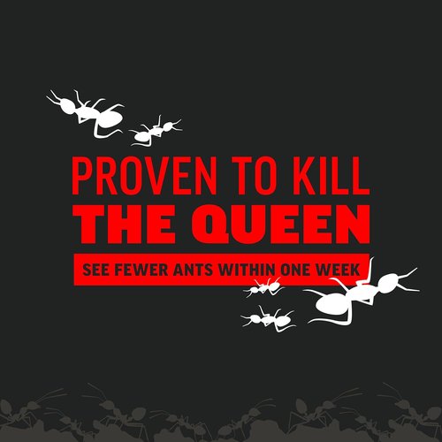 Amdro Ant Killer - Effective Outdoor Perimeter Solution | 12oz Size for Maximum Coverage