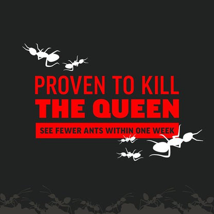 Amdro Ant Killer - Effective Outdoor Perimeter Solution | 12oz Size for Maximum Coverage