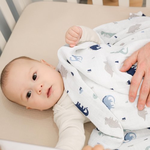 david's kids 4 Pack Baby Muslin Swaddle Blankets, 100% Cotton and Ultra Soft Breathable Receiving Blanket Wrap for Boys Girls, New Born Essentials, Large 47 x 47 inches, Dinosaur